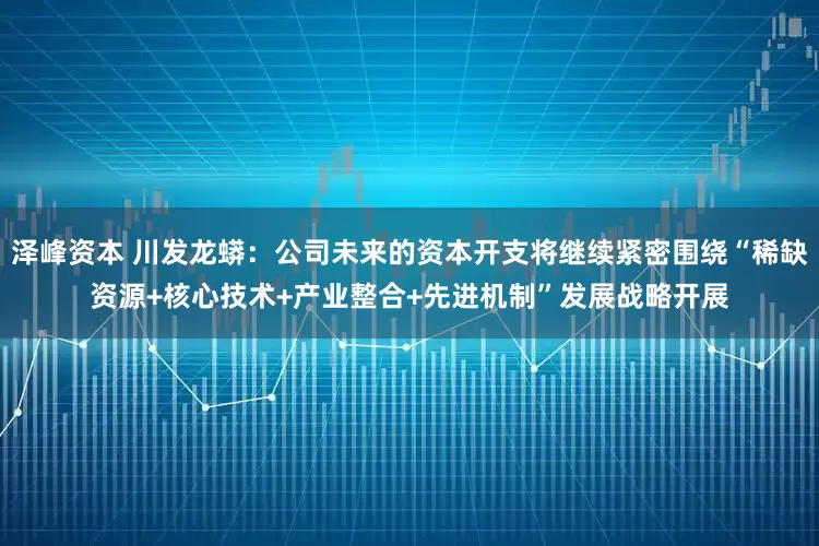 泽峰资本 川发龙蟒：公司未来的资本开支将继续紧密围绕“稀缺资源+核心技术+产业整合+先进机制”发展战略开展